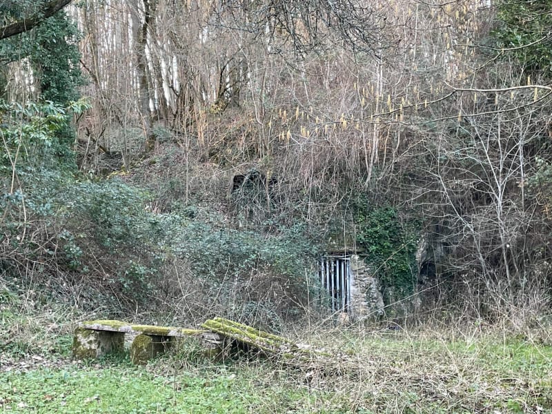 Magnifique balade dans les bois - Langeais
