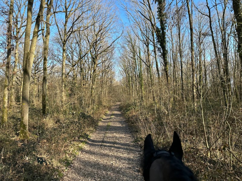 Balade à la lisière des Grands Bois du Marais - Saint-Cyr-sous-Dourdan