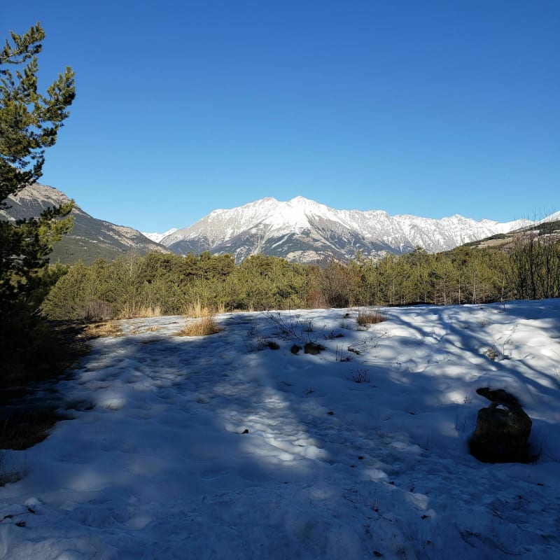 Visite de Barcelonnette - Barcelonnette