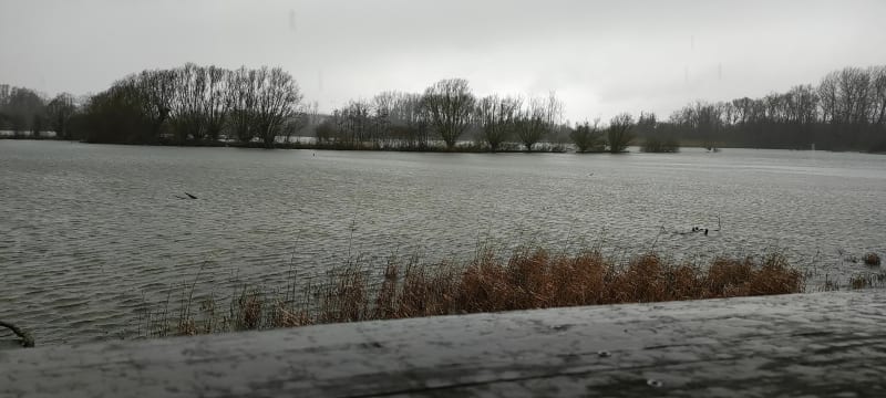 Courrieres le long du canal de la Deule et chemin du halage - Courrières
