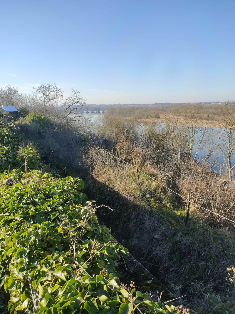Entre Loire et vignes depuis Montlouis - Montlouis-sur-Loire