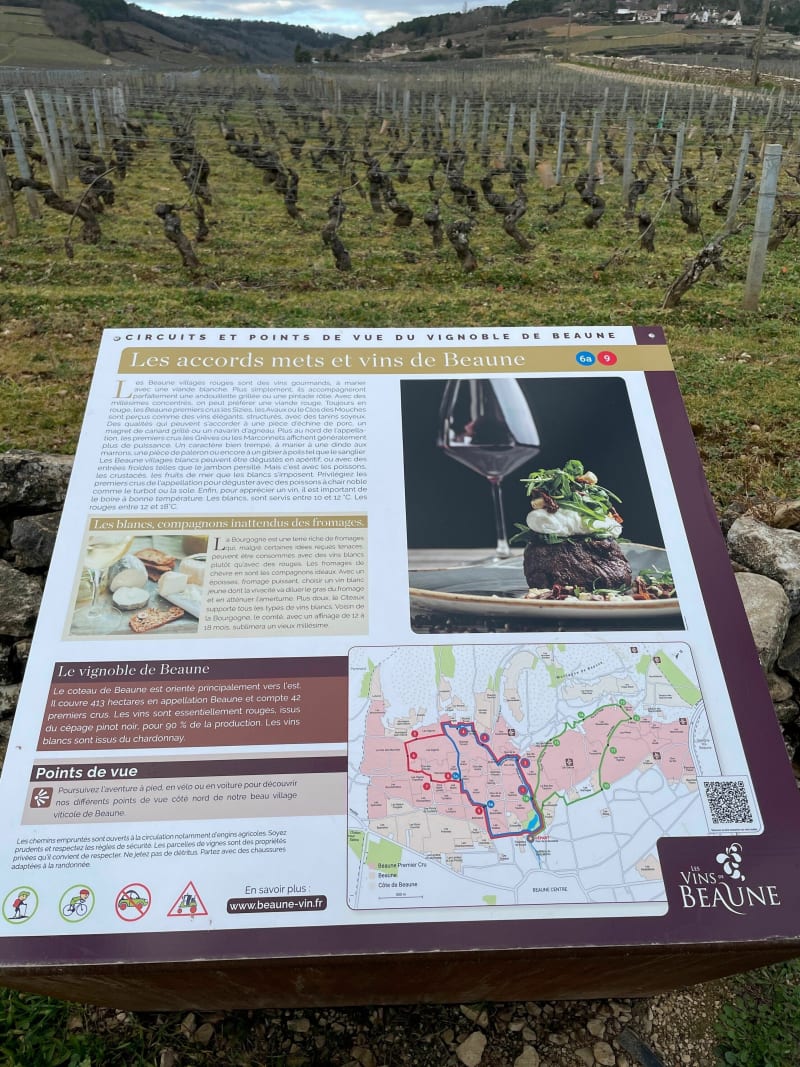 Beaune côté vignes - Beaune