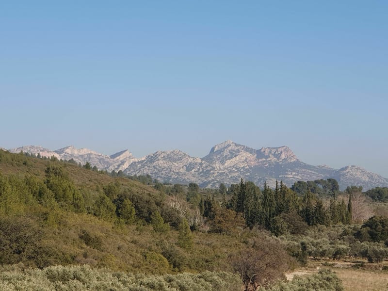 Balade autour du canal des Alpilles - Mouriès