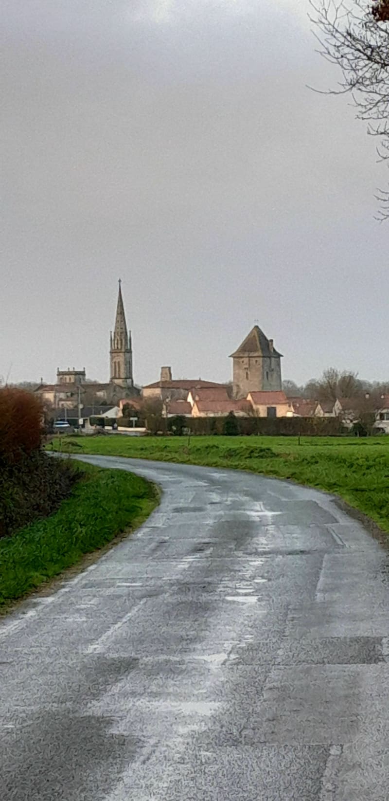 Balade de l'Ardelay - Les Herbiers