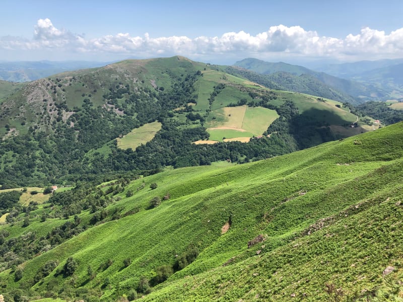Au pied des Crêtes d'Iparla et Col de Lacho - Bidarray