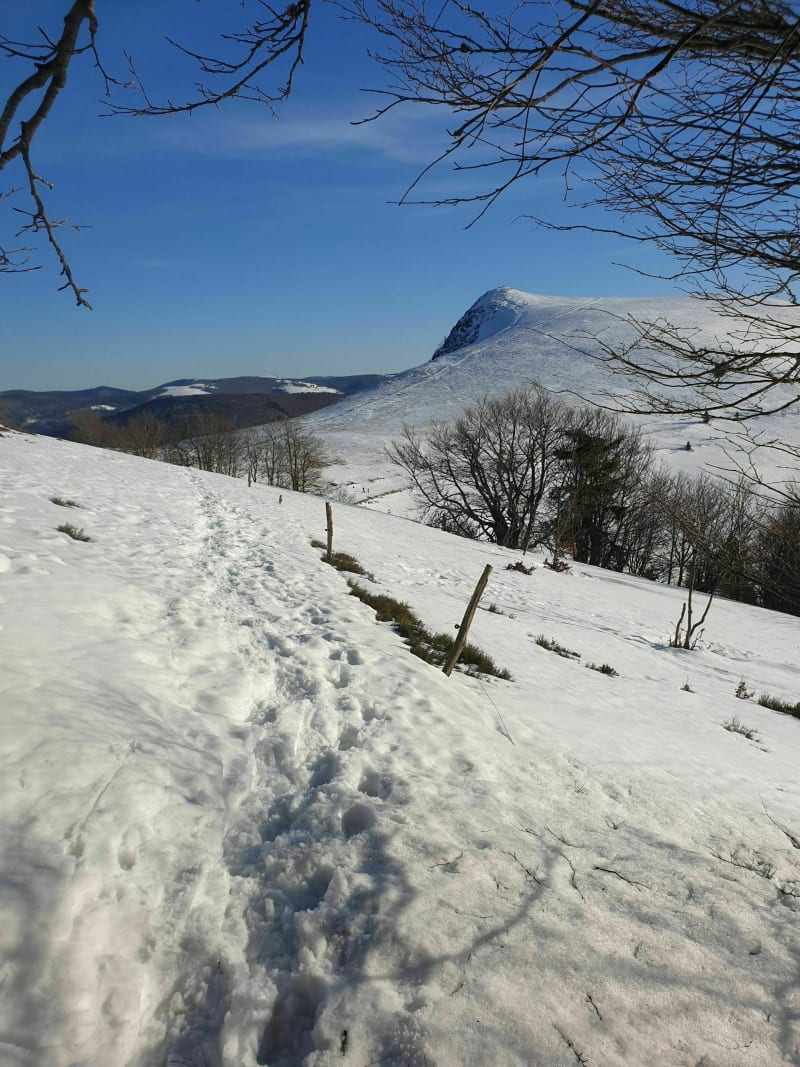 Sommets des crêtes de Batteriekopf - La Bresse