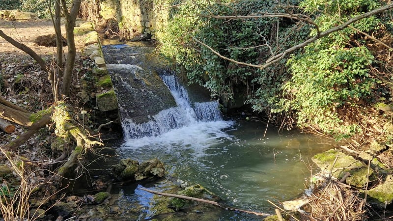 Balade en forêt de Bellejame à Marcoussis - Marcoussis
