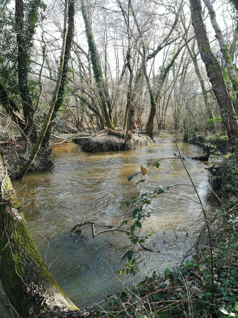 Le long de la jalle de Martignas sur jalle - Martignas-sur-Jalle