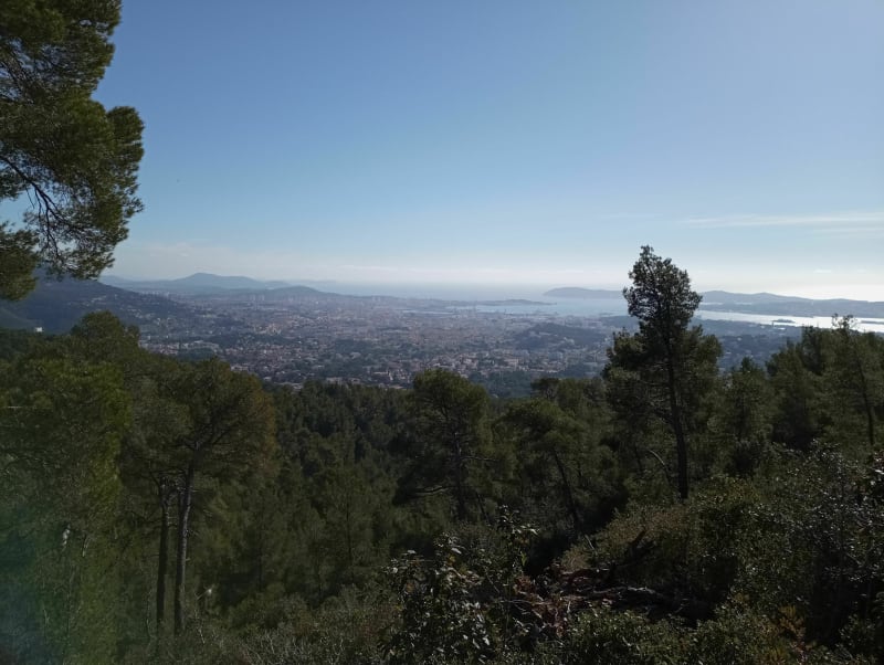 Boucle les bonnes herbes le Baou - Toulon