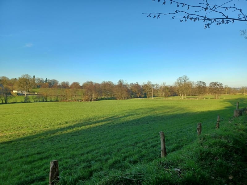 Entre la Chapelle biche et Flers - La Chapelle-Biche