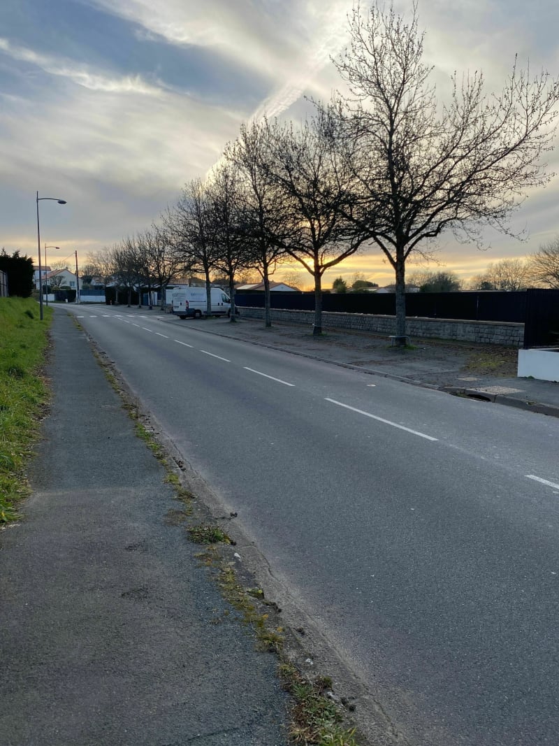 Circuit les vignes, variante courte depuis Saint-Philbert-de-Grand-Lieu - Saint-Philbert-de-Grand-Lieu