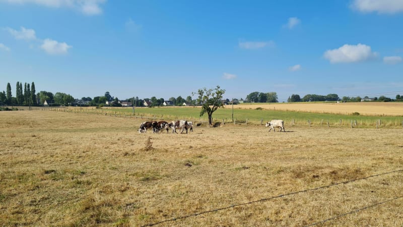 Balade champêtre entre Bois d'ennebourg et Bois l'évêque - Bois-d'Ennebourg
