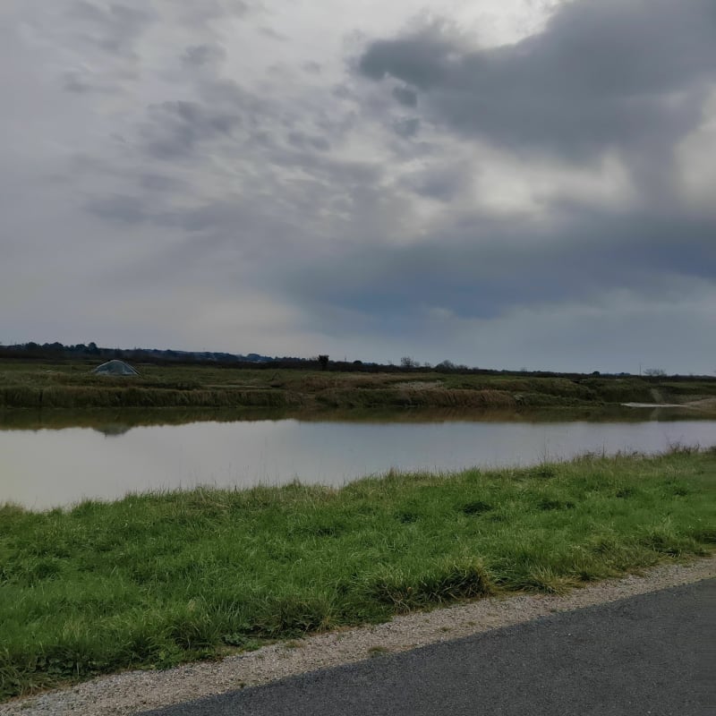 Les marais de Les Moutiers-en-Retz - Les Moutiers-en-Retz