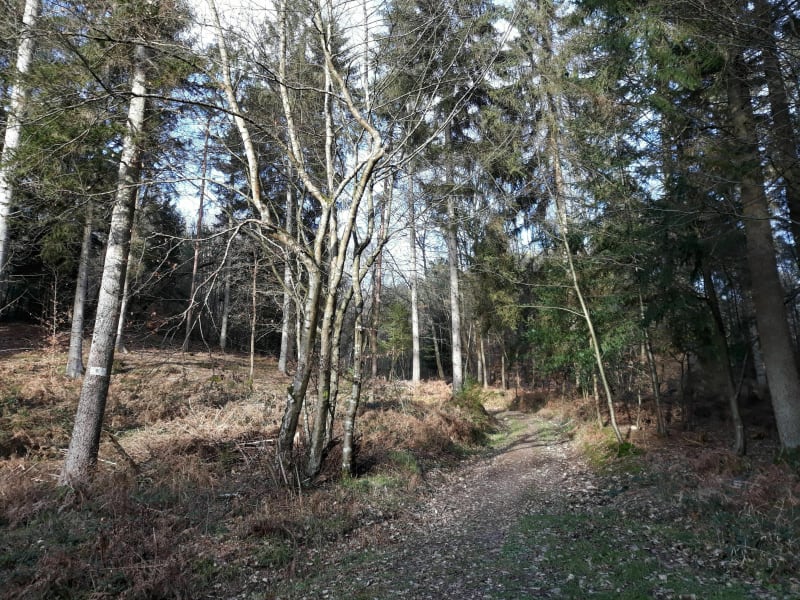 Les alentours de Brestot. - Appeville-Annebault