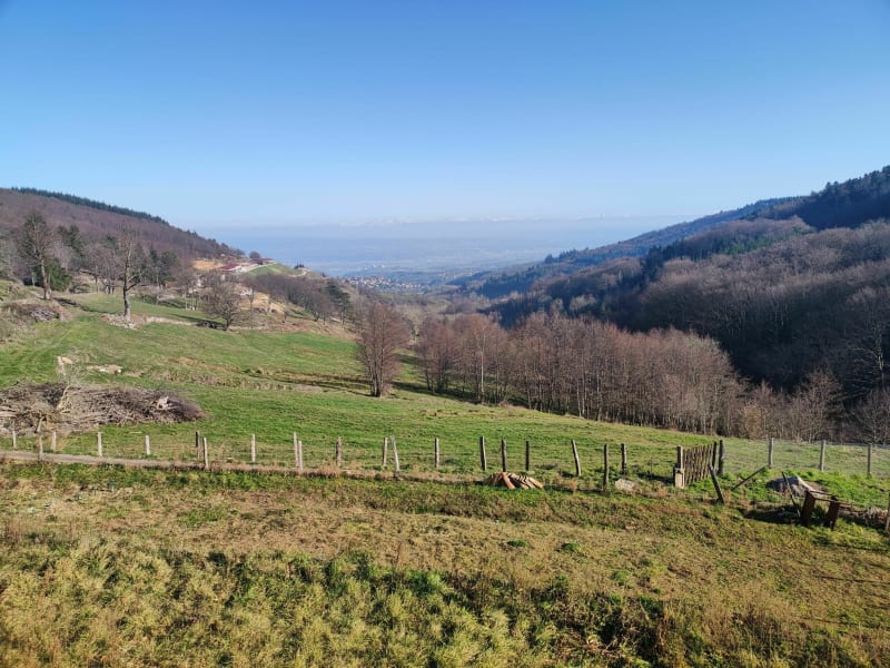 Au dessus de Pelussin - Pélussin