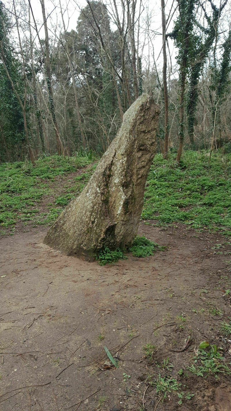 Sur le chemin d'une Mégalithe - Les Sables-d'Olonne