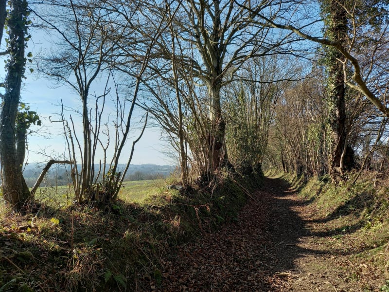 La vallée du Lozon - Marigny-Le-Lozon