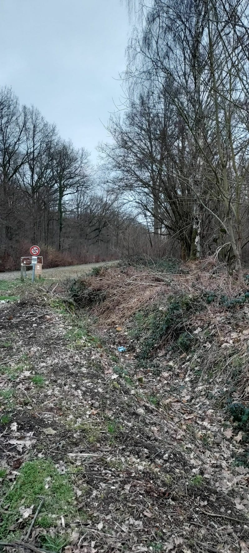 Trouée d'Harenberg - Grand Bray