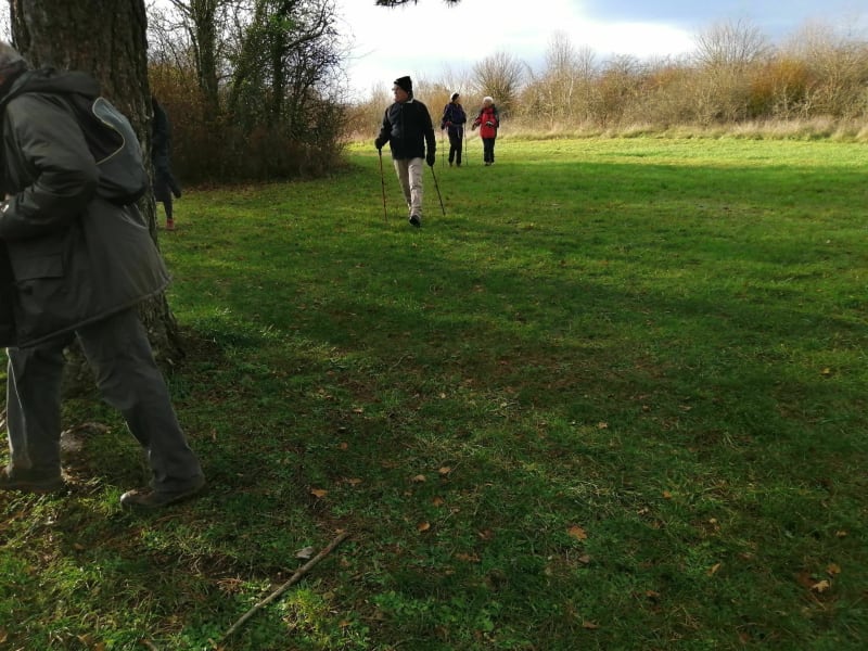 Balade autour de Xeuilley, en plaine et en forêt - Xeuilley