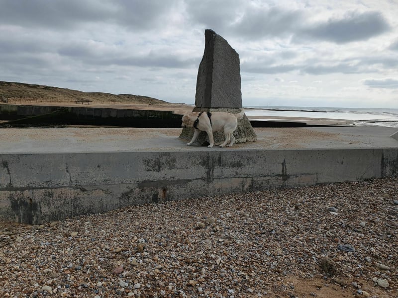 Brétignolles sur Mer de Dunes à Gachère. - Bretignolles-sur-Mer