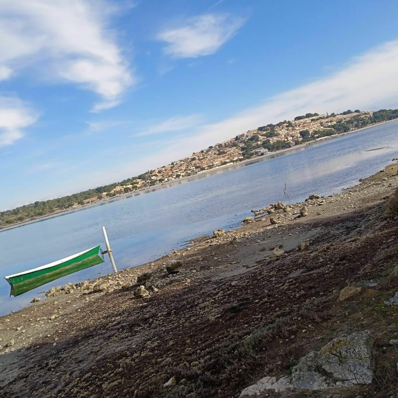Tour de l'étang de Leucate jusqu'au falaises - Leucate