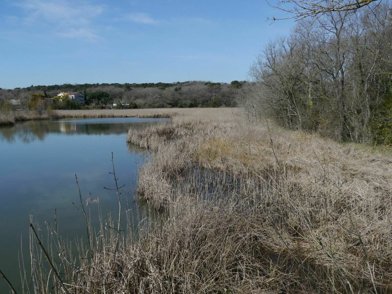 Autour de l'étang de Vaugrenier et balade dans le parc - Villeneuve-Loubet