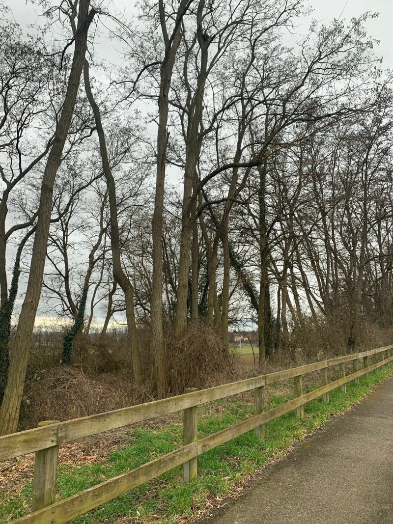Balade sur la Piste des Forts depuis Vendenheim - Vendenheim