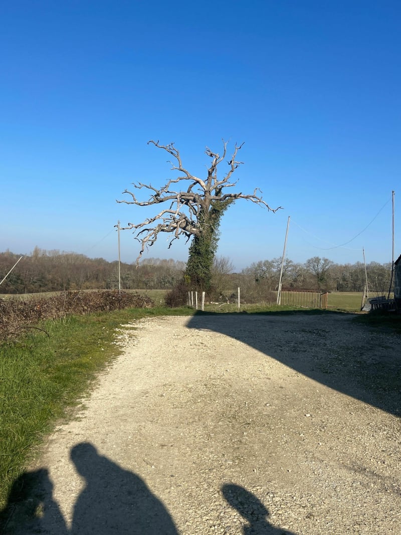 Entre Cursan, Croignon et Camarsac - Cursan