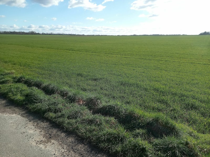 Promenade dans les champs à Saint-Saulve - Saint-Saulve