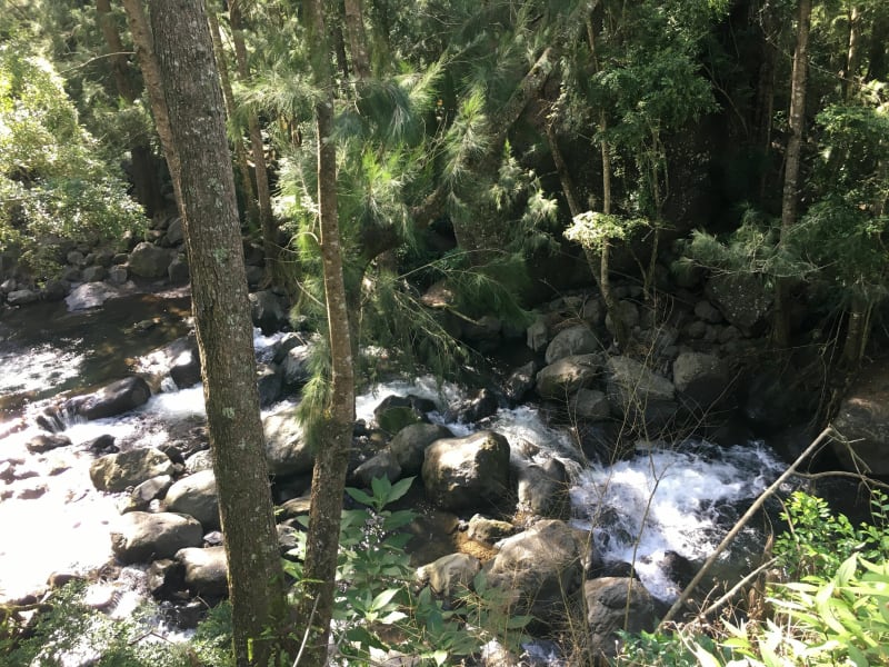 Sentier bras de Benjoins - Cilaos