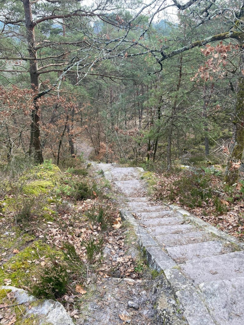 Les cents marches dans la Forêt des Trois pignons - Milly-la-Forêt