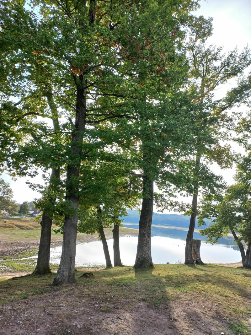 Randonnée autour du lac de Bouzey - Sanchey