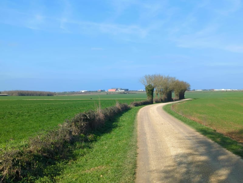 Chemins et collines d'Aiffres - Aiffres