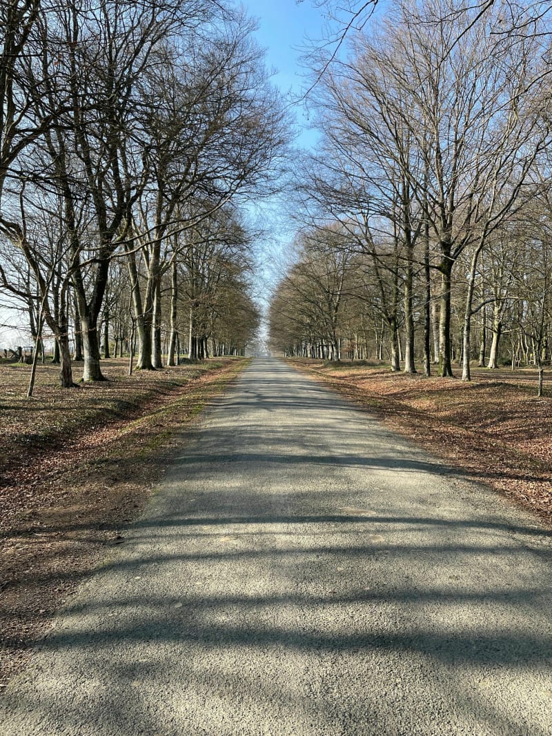 Campagne Herbretaise et Bois d'Ardelay - Les Herbiers