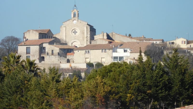 Balade vigneronne à Teyran et ruisseau Le Salaison - Teyran