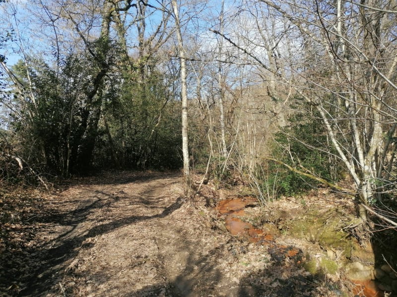 Promenade dans les Palanges - Bertholène