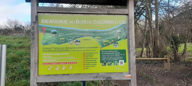 Biéville-Beuville / bois de Colombelle - Biéville-Beuville