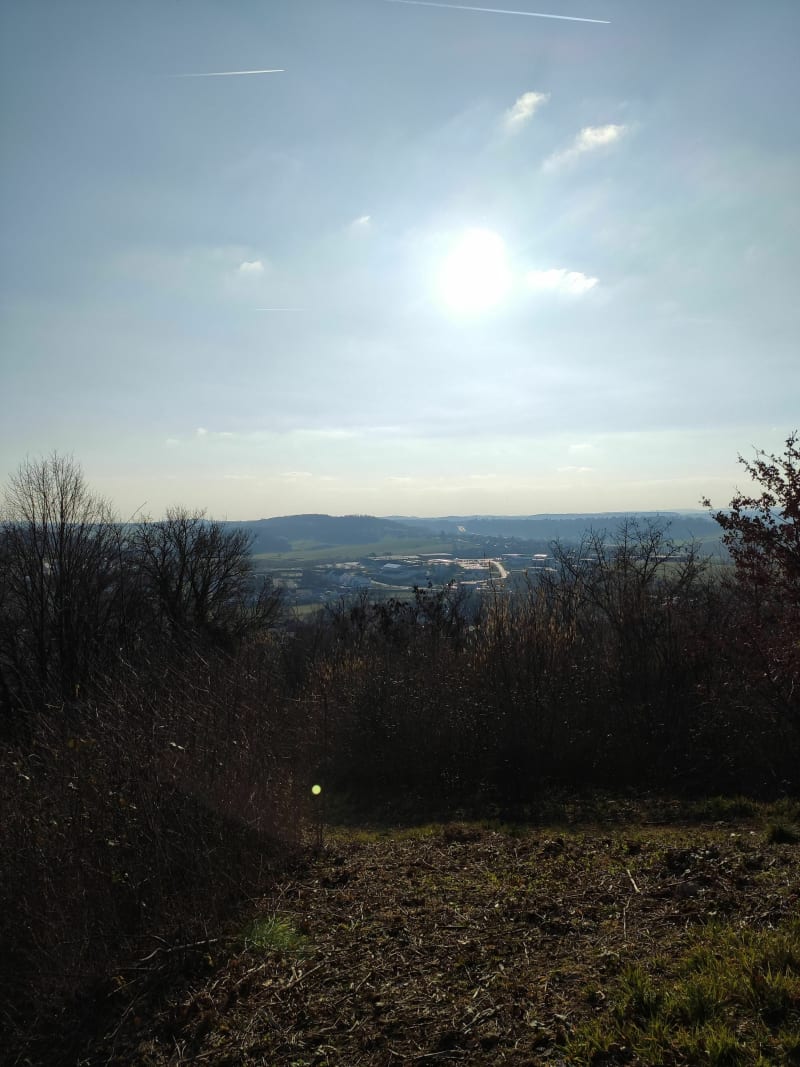 Balade autour du Mont et sentier botanique à Pouilley les Vignes - Pouilley-les-Vignes