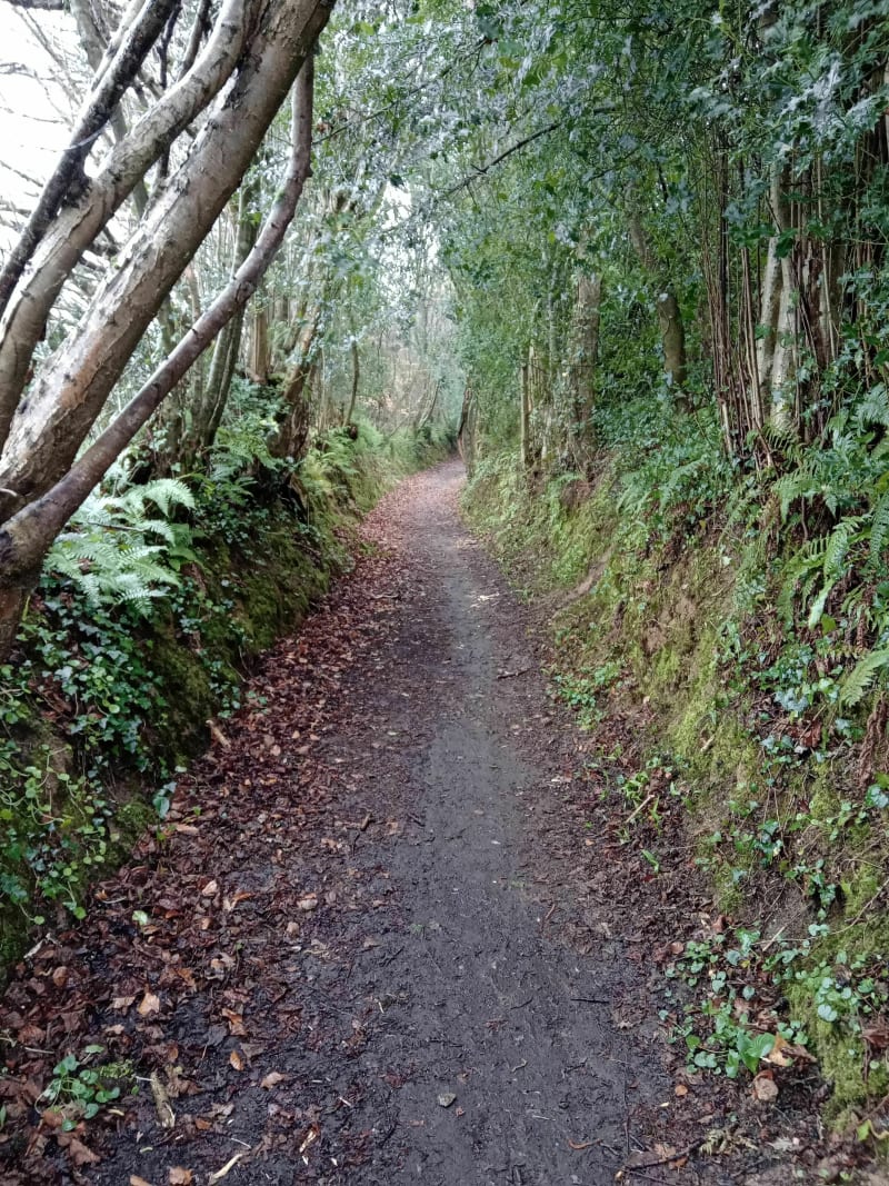 Parcours sportif au départ de Valognes - Valognes
