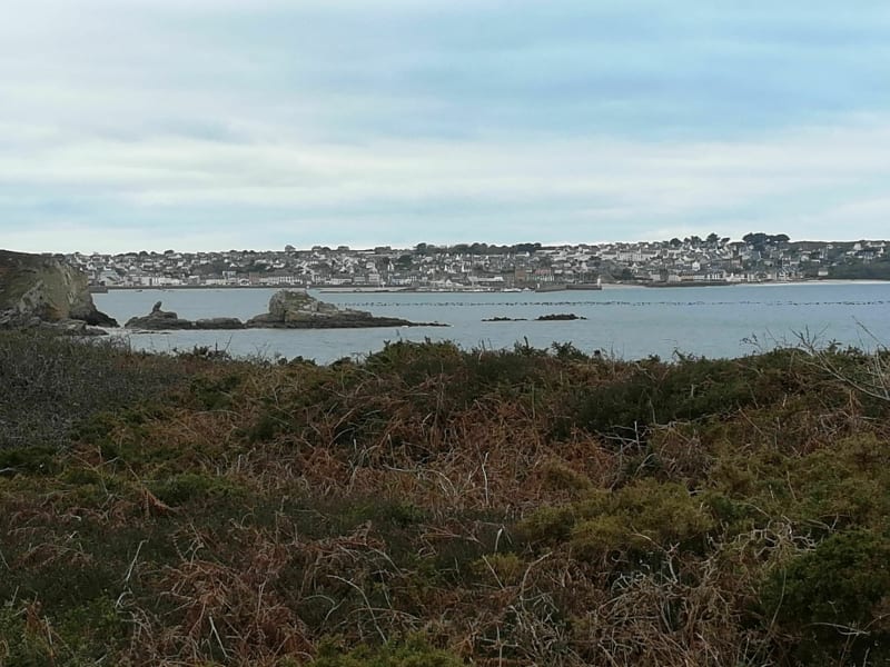 De Keraudren à Trez Rouz en Camaret. - Camaret-sur-Mer