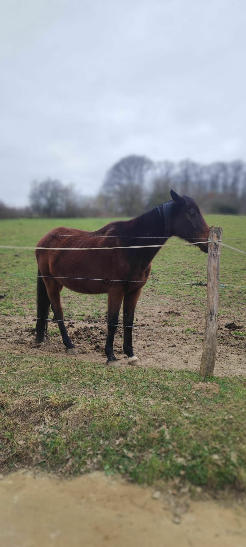 Le domaine d'Ors et la vallée de la Mérantaise - Bures-sur-Yvette