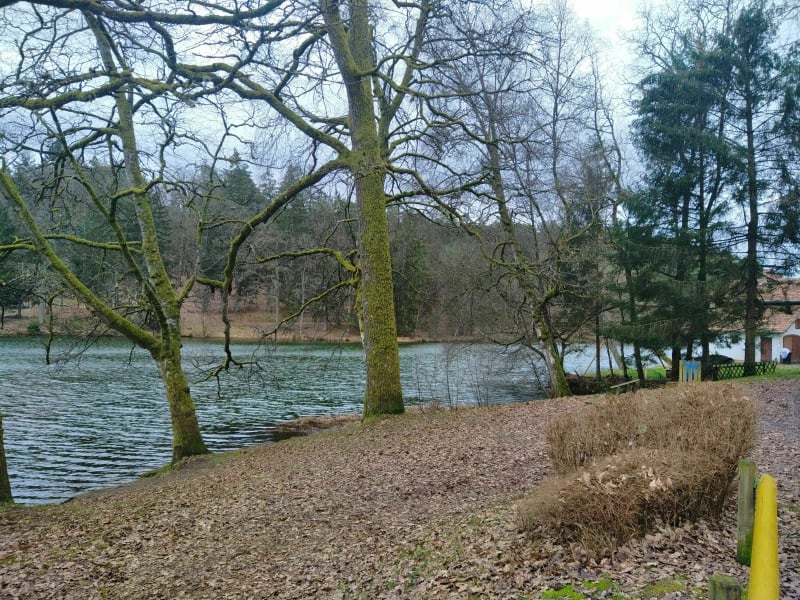 Petit Tour de l'étang de Hasselfurth - Bitche