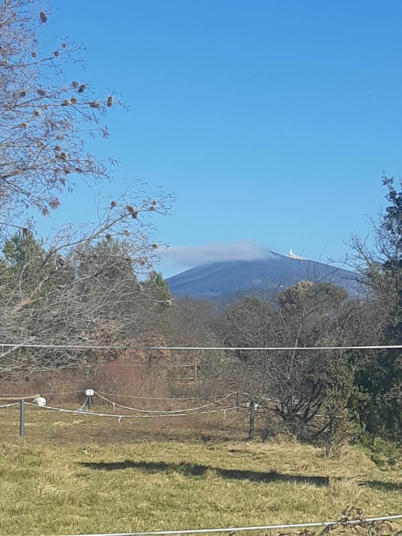 Aubignan, Suzette, Le barroux - Aubignan