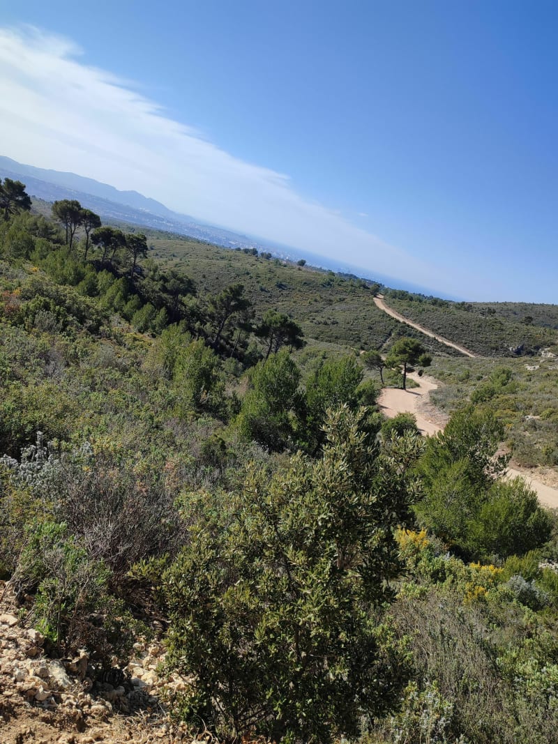 Balade dans les collines de Plan-de-Cuques - Plan-de-Cuques