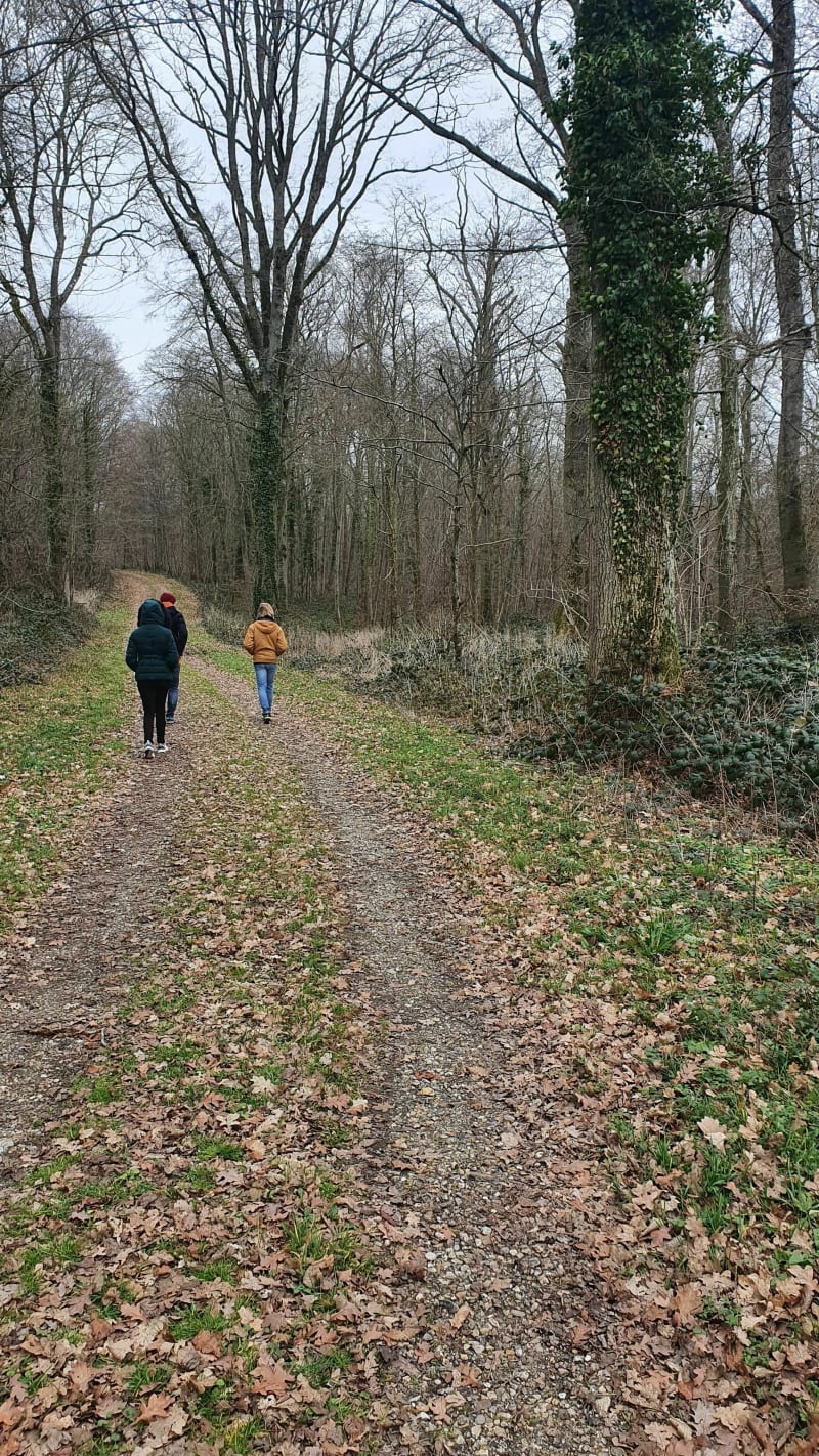 Petite marche en Forêt de Creuse - Creuse