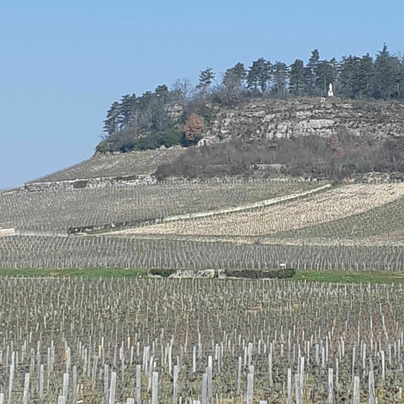 Depuis mercurey - Mercurey