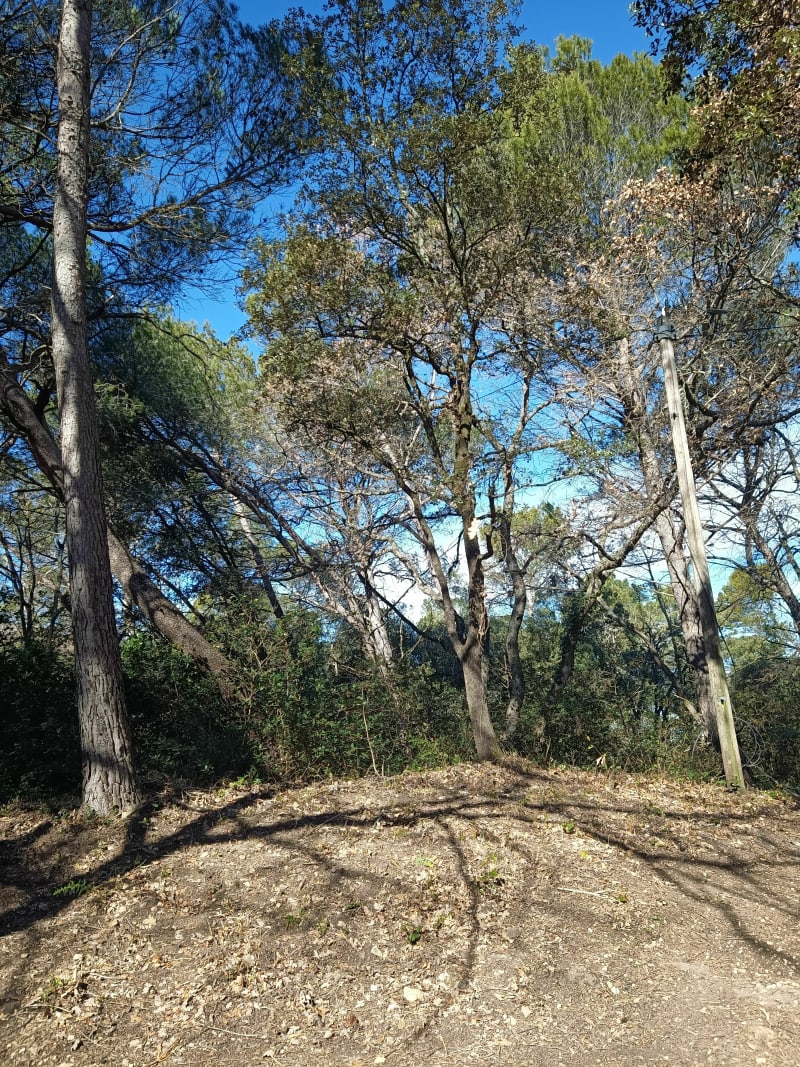 Jolie promenade dans la Garenne depuis Montsoleil - Bollène
