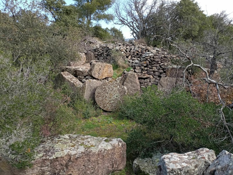 L'oppidum d'Ollioules - Ollioules