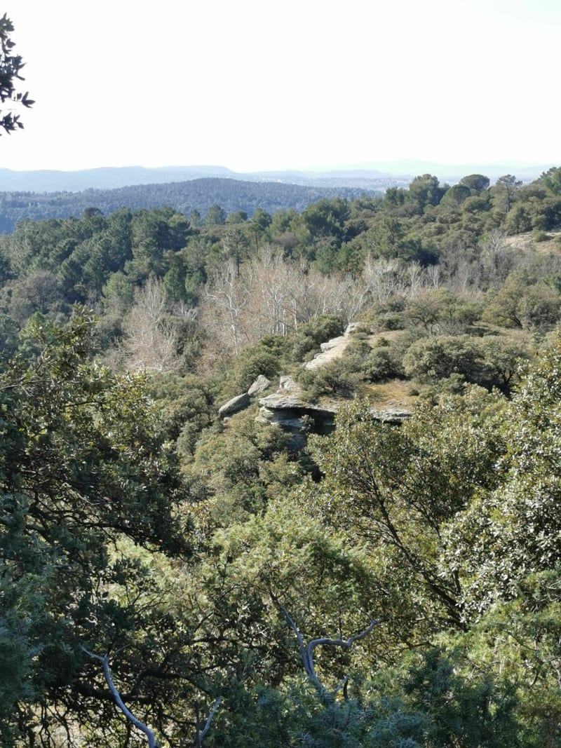 Sentier versant sud Bollène - Bollène