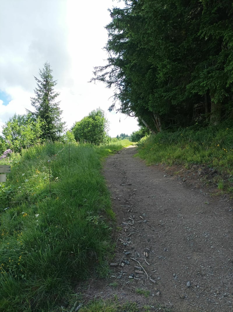 A/r le Verger Bréal, Mordelles, le Rheu - Le Verger